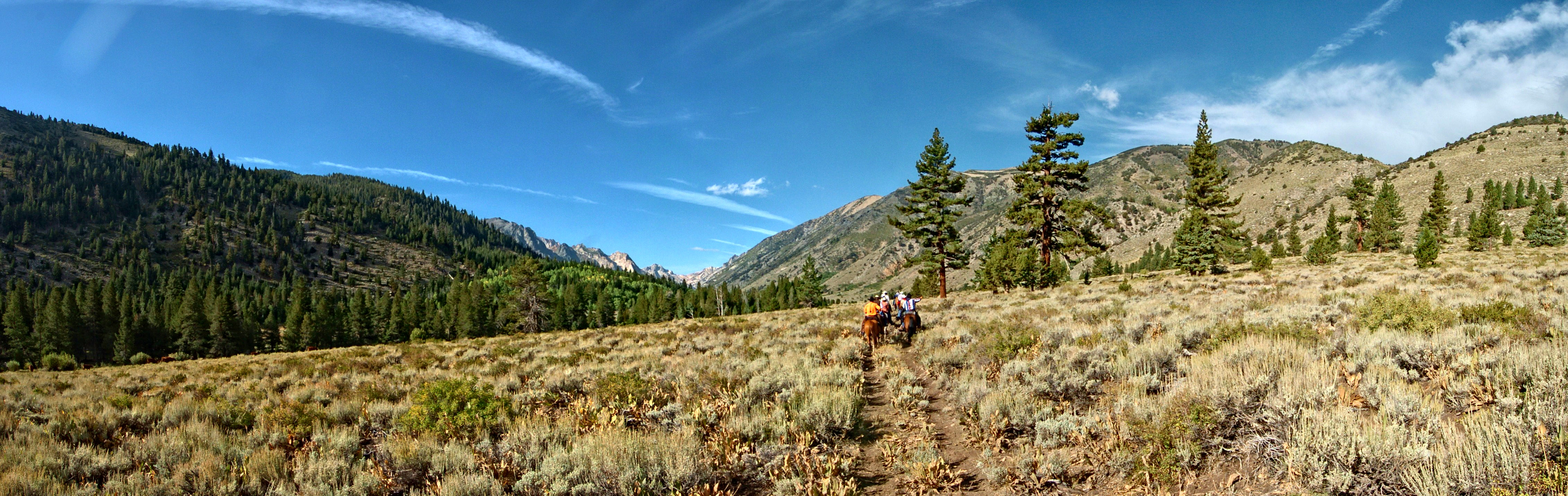 Buckeye Canyon